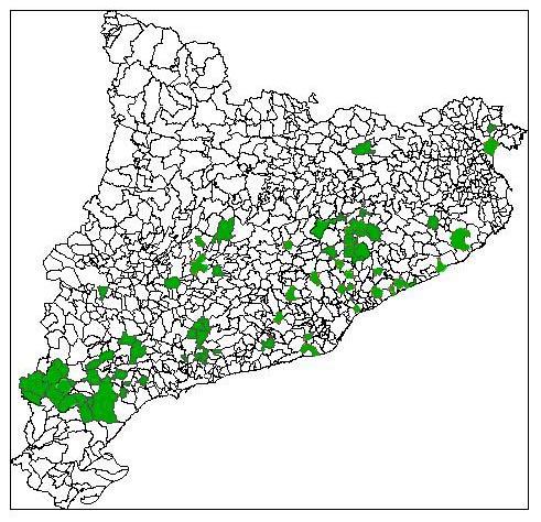 Casi 100 municipios en Catalunya, más de