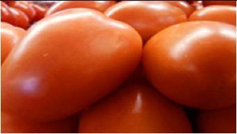 Hortalizas Tomate de cocina, mediano, de primera (caja de 45 a 50 lb) Cuadro 1.Precio promedio semanal Precio promedio (quetzales) Variación 120.83 104.17-16.66-13.