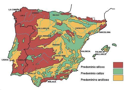 2. LA VARIEDAD LITOLÓGICA En la Península se distingues tres grandes zonas litológicas, que se corresponden con áreas de formación e historia diferentes: La Iberia silícea (España Occidental) ocupa