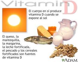 Fuentes de vitamina D Se encuentra de modo natural sólo en la grasa de ciertos productos animales. Los huevos, el queso, la leche y la mantequilla, son buenas fuentes en dietas normales.