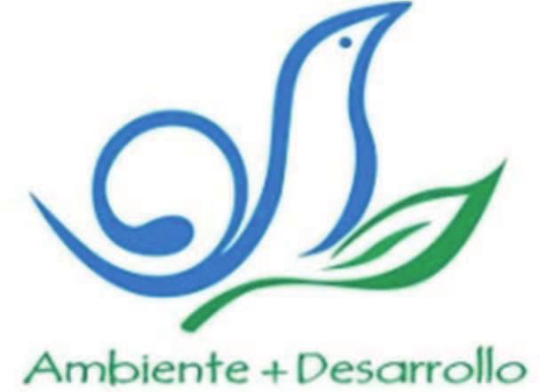 Estudio Unificado Vialidades Destino Xcaret el desarrollo económico de la zona, teniendo como marco regulatorio el Programa de Desarrollo Urbano de Playa del Carmen. VII.