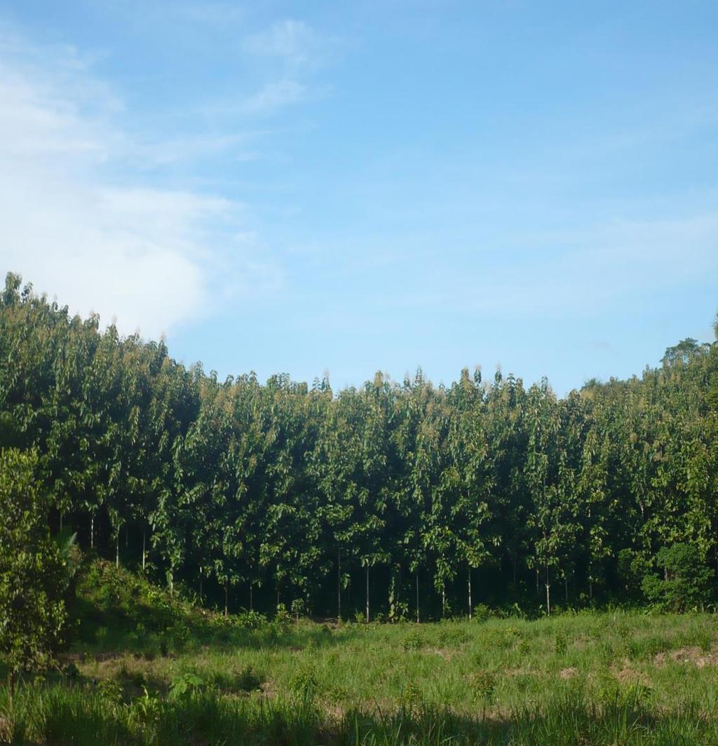 Sector Forestal en ZIDRES : 2 artículos que NO PROPUSIMOS NI NOS CONSULTARON se incluyeron: 1.