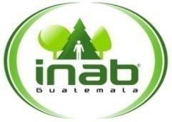 GUATEMALA Presentación del estado