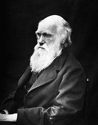 Darwin aportó datos abundantes sobre la evolución biológica.