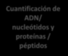 nucleótidos y proteínas /