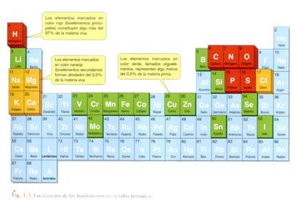 Bioelementos principales [ > 97% ] Constituyen el 95 % de la materia viva C H O Carbono Hidrógeno Oxígeno Forman parte de todas las biomoléculas orgánicas (Y también de moléculas inorgánicas como el
