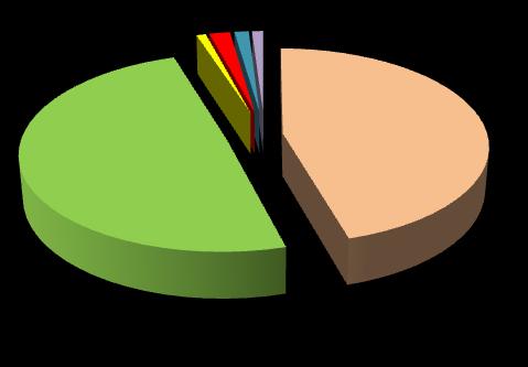 DENUNCIAS REGISTRADAS POR LA PNP POR COMISIÓN DE DELITOS EN LIMA METROPOLITANA Y EL CALLAO, POR TIPO, AÑO 21 7 6 62829 (77%) El 77% de las denuncias por delitos registrados, son Contra el Patrimonio.