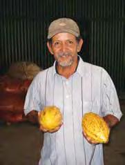 Proyecto de Información y Mercadeo de la Red Este proyecto Red Centroamericana de Productores de Cacao: Información y Mercadeo ha sido creado para trabajar con al menos 9000 pequeños productores (as)