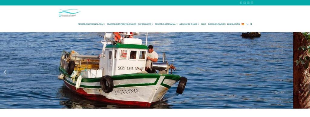 1. ACCESO A LA PLATAFORMA PROFESIONAL La plataforma web www.pescadoartesanal.