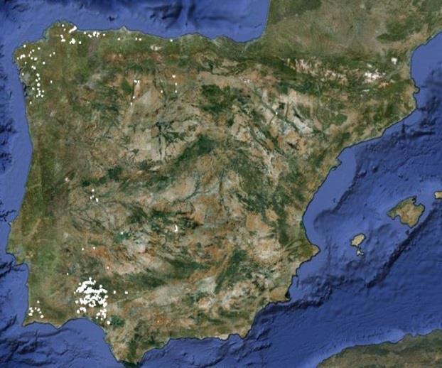 Principales desarrollos I+D Cultivos Energéticos Castilla León C.