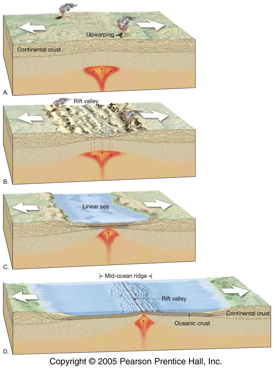 Ascensión Corteza continental Valle del rift Mar lineal Dorsal Centroatlántica