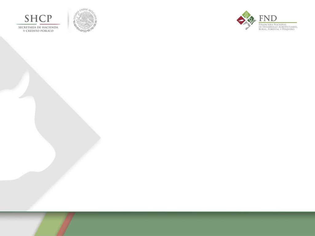Programas de la FND Integral de Formación, Capacitación y Consultoría para Productores e IFR Constitución y