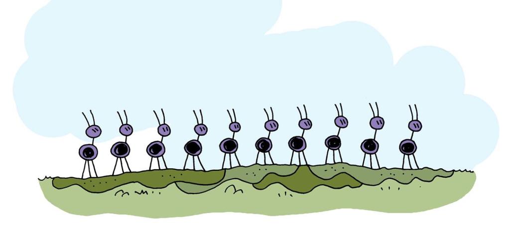 10 hormigas o pensamientos negativos más comunes.