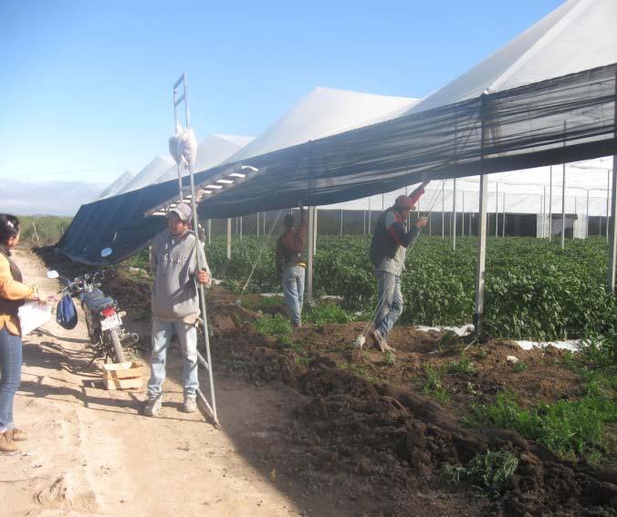 Levantamiento de Información en Campo. Padrón de Productores de Agricultura Protegida (SIAPRO).