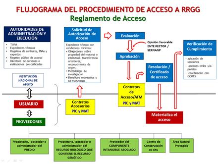 Clave: Gestión por procesos - procedimientos priorizados Diagrama del procedimiento de acceso a RRGG Fuente.- MINAM-Proyecto GEF ABS LAC.
