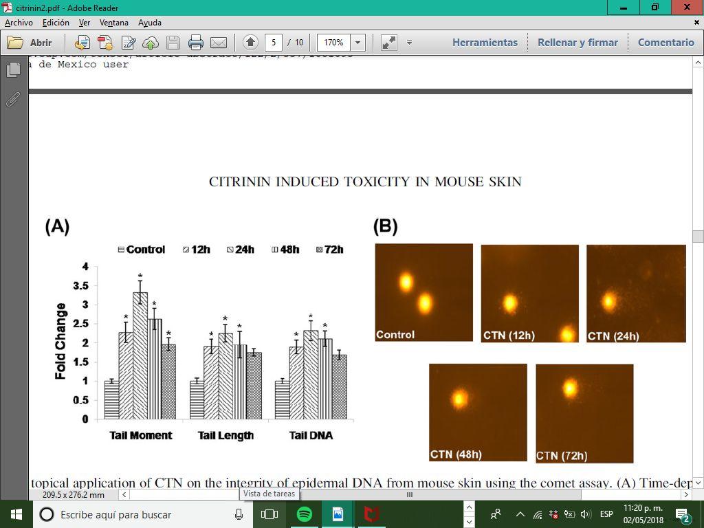 Efecto de la aplicación tópica de CTN en el daño de ADN en piel de ratón Para evaluar el potencial dañino para el ADN se utilizó el ensayo cometa.