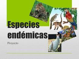 México y anota cinco datos interesantes de esta especie. Ilústrala, puedes dibujar o pegar imágenes.