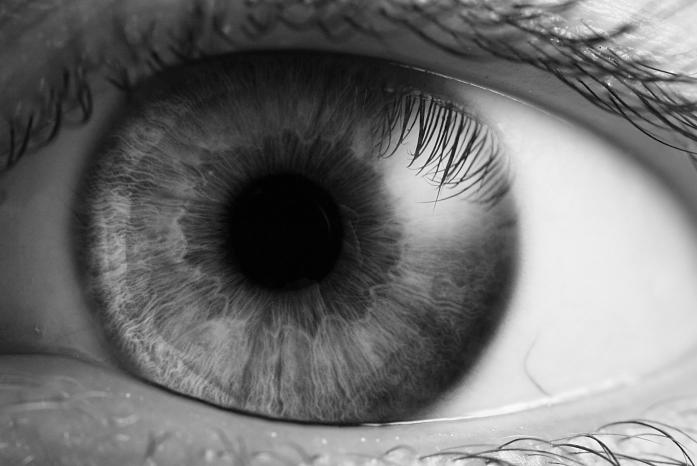 Psicología de la percepción El ojo humano Iris Pupila Esclerótica Membranas que cubren el ojo: Cornea y esclerótica Coroide Cuerpo