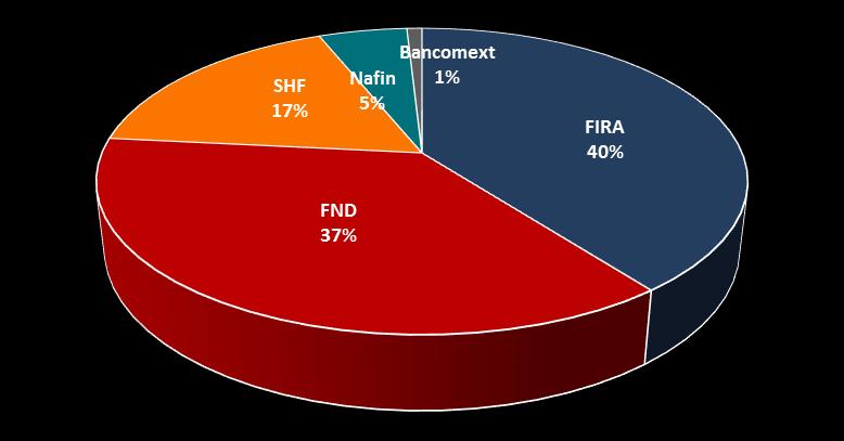 Los Intermediarios Financieros de Fomento y las Uniones de Crédito Los Intermediarios Financieros de Fomento (IFF) que atienden a este sector, principalmente son: Financiera Nacional de Desarrollo