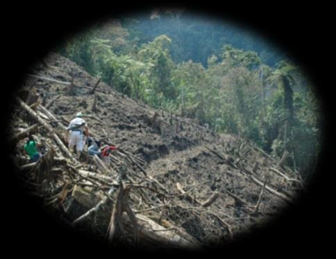 La pérdida total de bosque natural entre 1990 y 2010 fue aproximadamente de 6.206.000 hectáreas (5.