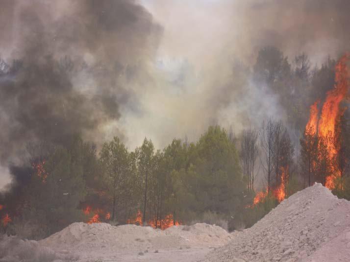 Cerca del 21% de la superficie afectada por incendios forestales se encontraba en Castilla y León, donde el pasado año 2012 ardían unas 43.523 hectáreas.