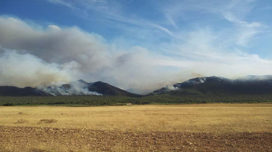 Superficie afectada por incendios forestales, avance 2013 Hasta el mes de marzo, los incendios forestales sucedidos han afectado a unas 2.098 hectáreas, lo que supone 56.