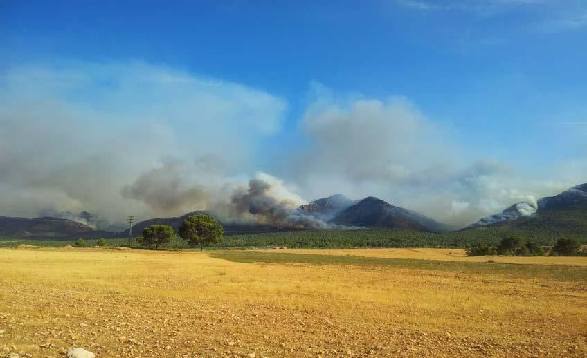 Evolución de los incendios forestales en España Año 2012 Incendios forestales, 2012 En el pasado año 2012 se produjeron un total de 15.