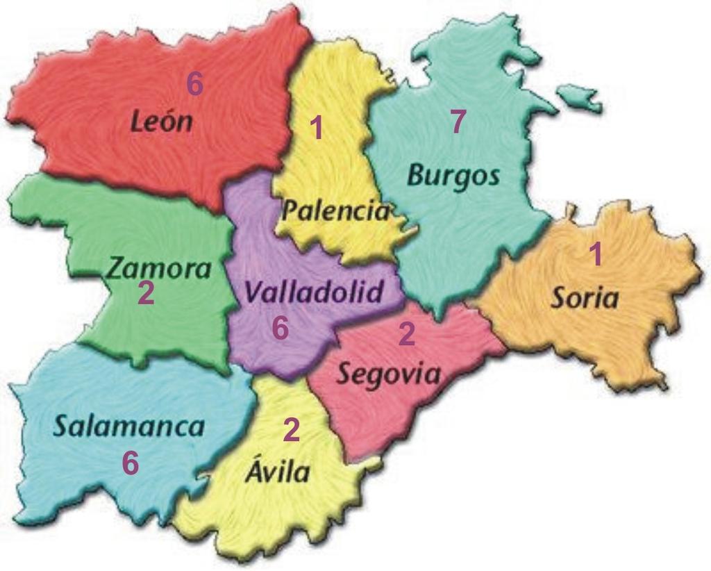 ENERO 201 Datos de Siniestralidad en Castilla y León Accidentes y enfermedades profesionales acumulados en Castilla y León, Accidentes mortales acumulados Diciembre de 2012.