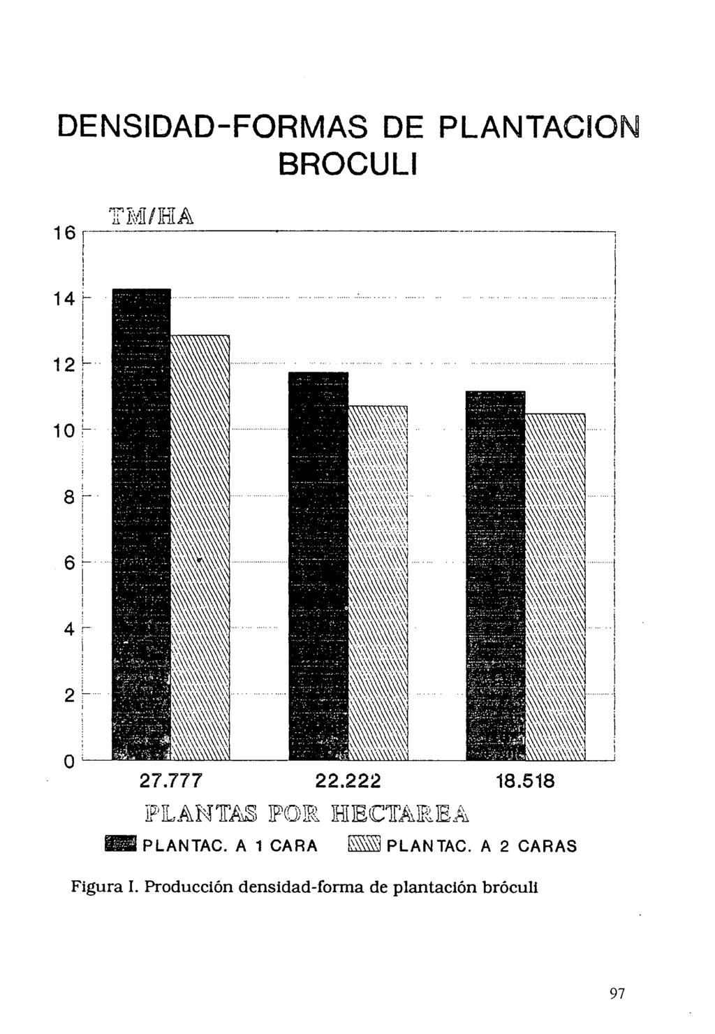 DENSIDAD-FORMAS DE PLANTACION BROCULI "PLANTASIPO151 HECTAREA EZ PLANTAC.