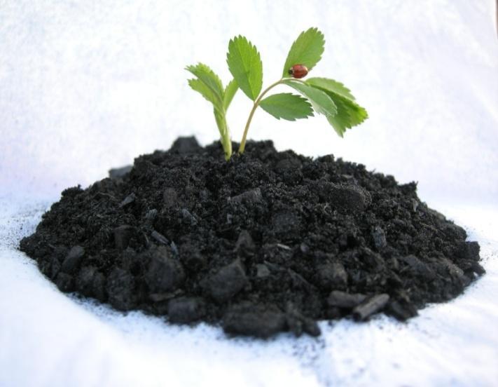EL BIOCHAR: CAPTURA DE CO2 A BAJO COSTE El carbón vegetal (BIOCHAR) es un material sólido rico en C, generado a través del calentamiento de biomasa en un entorno pobre de oxígeno (pirólisis) en el