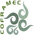 Le CEMCA s'est alors engagé à accompagner le Colmich en mobilisant son réseau centraméricain et en le mettant à disposition de ce