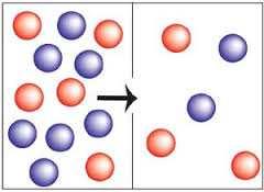 Equilibrio homogéneo: N₂O₄(g) 2NO₂ Kc= [ NO₂ ] ² Cuando los productos y [ N₂O₄ ] los reactivos se encuentran en la