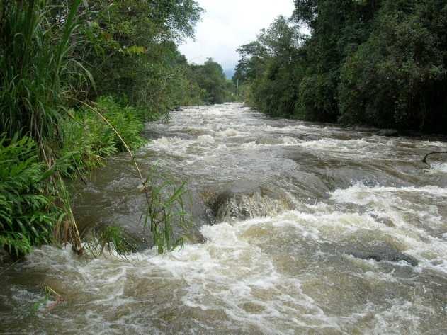 Proyecto 247: Determinación de las características e interrelaciones de los componentes del caudal ecológico para el Río