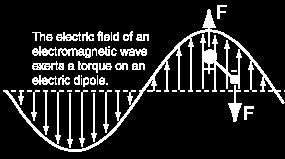 gif Una onda electromagnética produce un torque en moléculas que presentan un momento