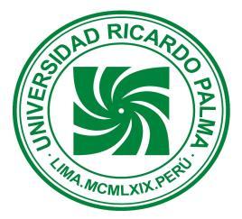 I. DATOS GENERALES Universidad Ricardo Palma FACULTAD DE INGENIERÍA ESCUELA PROFESIONAL DE INGENIERÍA INFORMATICA DEPARTAMENTO ACADÉMICO DE INGENIERÍA PLAN DE ESTUDIOS 2006-II SÍLABO CURSO: