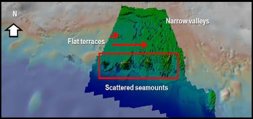 Principales características geomorfológicas identificadas en el flanco norte de la Cordillera de Carnegie.