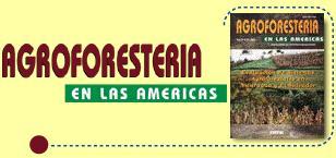 Identificación Agroforestal Reseñas Agroforestales Actualización: 1/04/08 Alfredo Ospina A. / Ingeniero agrónomo / Colombia. 1 Árboles en Cultivos Transitorios.