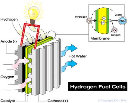 8. Celda de Combustible Las celdas de combustible son reactores de estado estacionario a los que se dosifican los reactivos en forma continua y de los que se extraen los productos también en forma