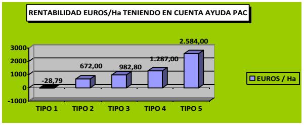 Explotaciones tradicionales de la provincia de Jaén, que suponen en torno al 97,99 % de la superficie olivarera, tienen unos costes directos de