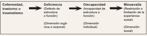 Elementos clave Como parte de la familia de clasificaciones, en 1980 se publicó la Clasificación Internacional de las Deficiencias, Discapacidades y Minusvalías (CIDDM), fue el primer marco