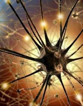 Los científicos han venido midiendo las señales entre las células del cerebro estudiando principalmente la actividad eléctrica.