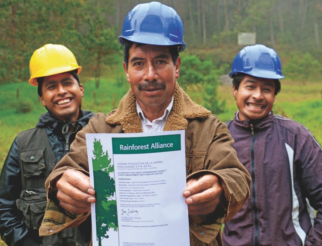 Septiembre Productores forestales en Hidalgo, muestran su Certificado Internacional en Buen Manejo