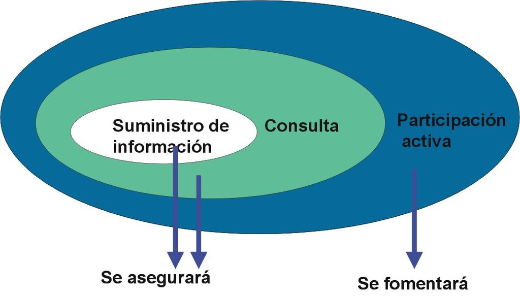 Proyecto de organización de la participación Organización y cronogramas de los procedimientos de participación pública del plan hidrológico.
