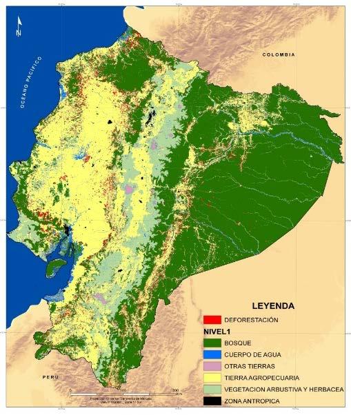 24,898,060 ha) Línea de Base 2000-2008 Nivel de Referencia Mapa de deforestación 2000-2008 52,7 M tco2 eq /año 43,4 M tco2