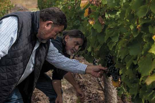 Mario Toso Ingeniero Agrónomo - Viticultor Perteneciente a una de las más tradicionales y reconocidas familias de la vitivinicultura argentina, introdujo las prácticas biodinámicas en la