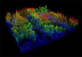 Observación de la extensión del bosque Recursos primarios Imagen satélite Percepción remota