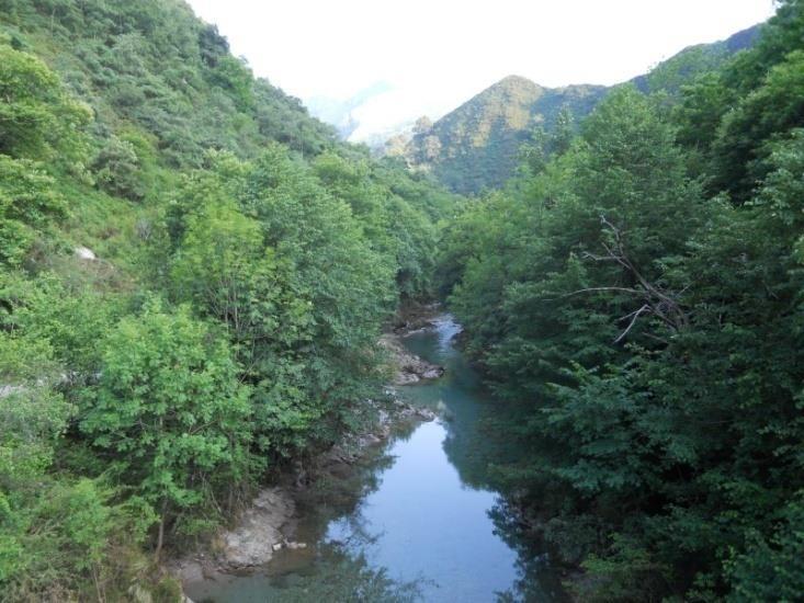 Implementar programas de protección y reforestación de márgenes de ríos y zonas de