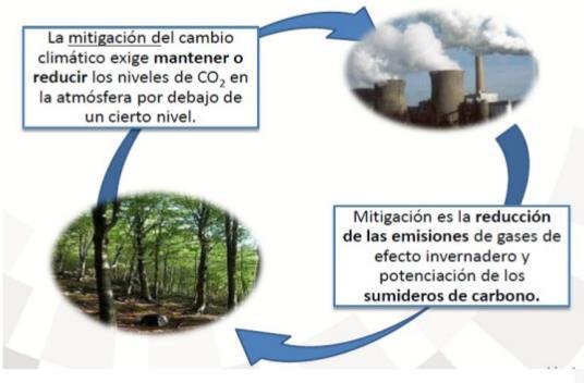 FORMAS DE ENFRENTAR EL CAMBIO CLIMÁTICO Mitigación: