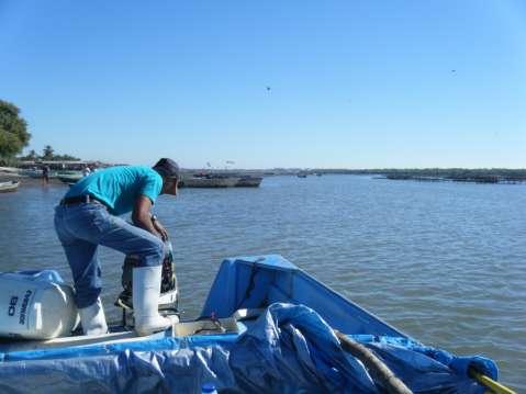 Impactos derivados de los variaciones en la línea de costa Cooperativa de pescadores en la Boca Camichín.