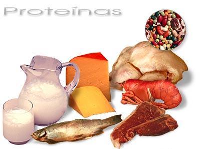 La proteína es un nutriente importante que forma los músculos y huesos y suministra energía.